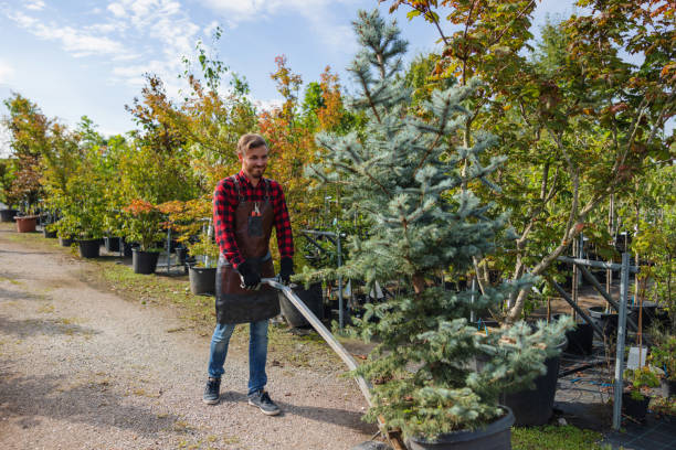 Best Emergency Tree Service  in Lake Leann, MI